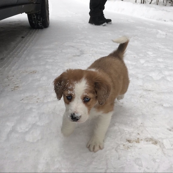 Meet your Posher, Makayla - Picture 1 of 1